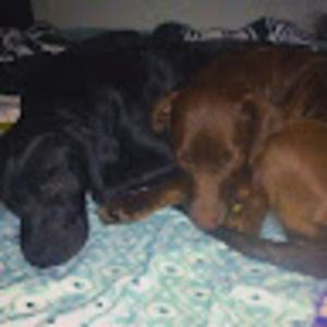 Meet your Posher, Christina